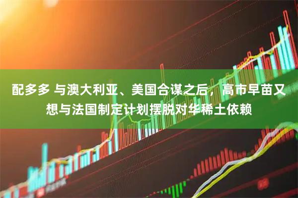 配多多 与澳大利亚、美国合谋之后，高市早苗又想与法国制定计划摆脱对华稀土依赖