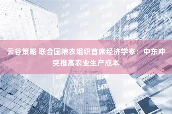 云谷策略 联合国粮农组织首席经济学家：中东冲突推高农业生产成本