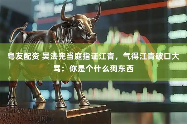 粤友配资 吴法宪当庭指证江青，气得江青破口大骂：你是个什么狗东西