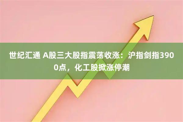 世纪汇通 A股三大股指震荡收涨：沪指剑指3900点，化工股掀涨停潮