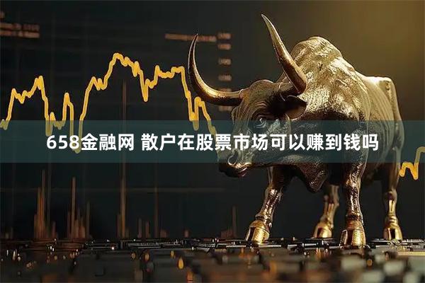658金融网 散户在股票市场可以赚到钱吗