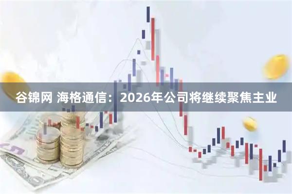 谷锦网 海格通信：2026年公司将继续聚焦主业